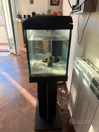 Acquario