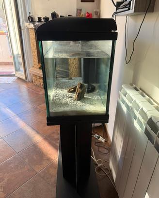 Acquario