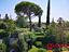 Immagine 26