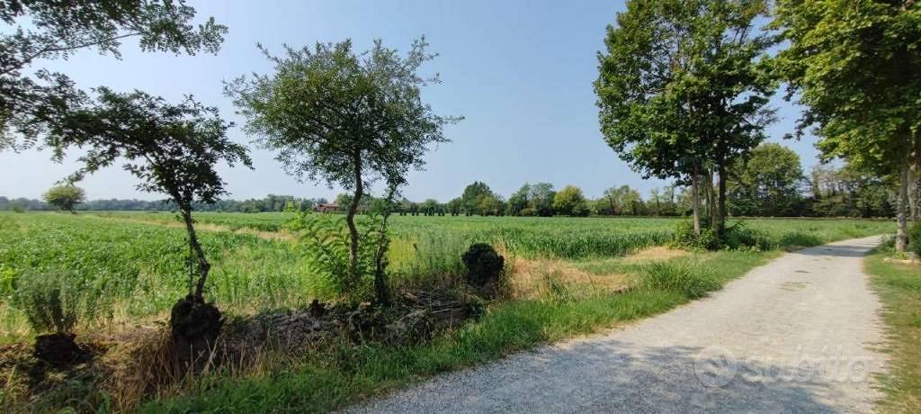 Terreno di 6260 m² a Cologno al Serio - Vista 4