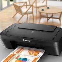 Stampante Canon Pixma MG2550S