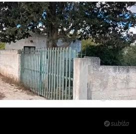 Terreno con deposito