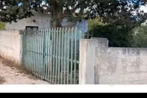 Terreno con deposito