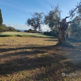 Terreno con trivella