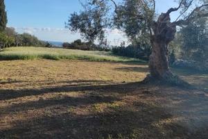 Terreno con trivella
