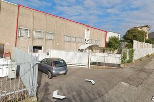 Cappannone destinazione d'uso Commerciale