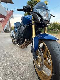 Hornet 600
