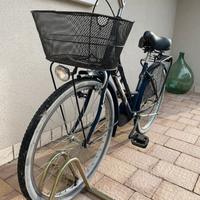 Bicicletta con cestino