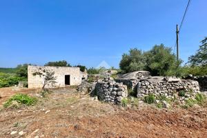 RUSTICO A CEGLIE MESSAPICA