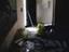 Immagine 18