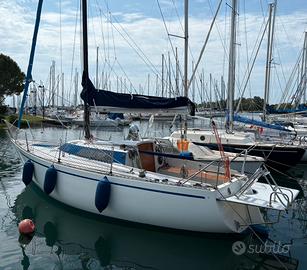 Sciarrelli orion 25