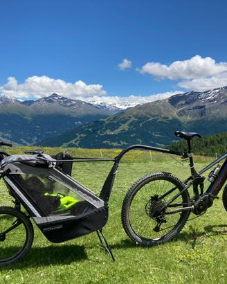 Tout Terrain Rimorchio Bicicletta per 1 bambino