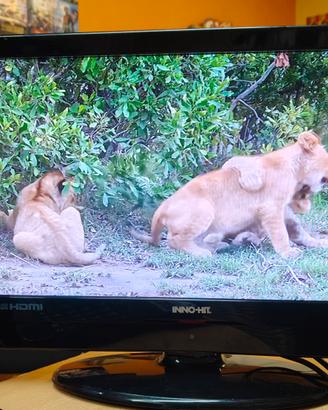MONITOR /TV 19"