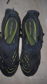 adidas predator 