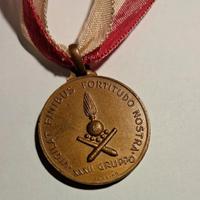 Medaglia militare italiana Prima guerra mondiale