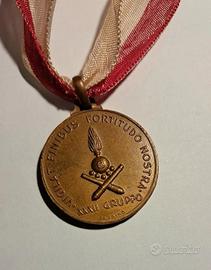 Medaglia militare italiana Prima guerra mondiale
