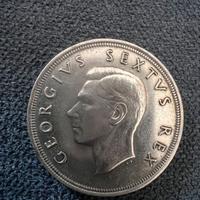 5 Scellini Sudafrica 1952
