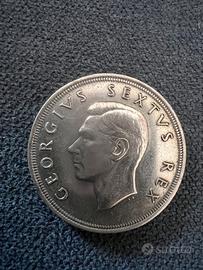 5 Scellini Sudafrica 1952