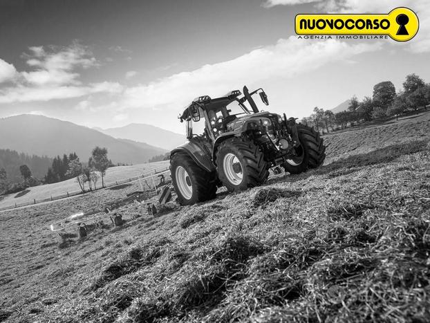 Canaro (RO) a 2 KM - Fondo agricolo di ettari 14,5