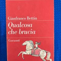 Qualcosa che brucia - Gianfranco Bettin