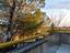 Immagine 29