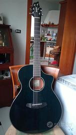 ACUSTICA BREEDLOVE  rainforest Concert MB