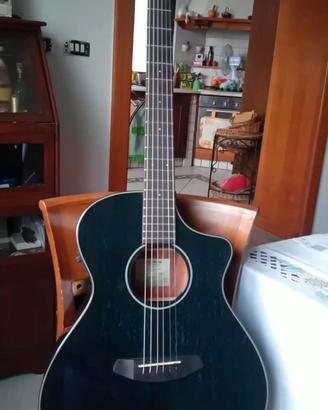 ACUSTICA BREEDLOVE  rainforest Concert MB