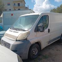 ducato transit daily connect doblo