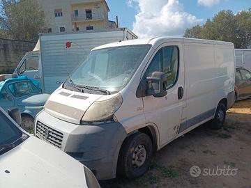 ducato transit daily connect doblo