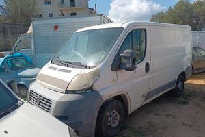 ducato transit daily connect doblo