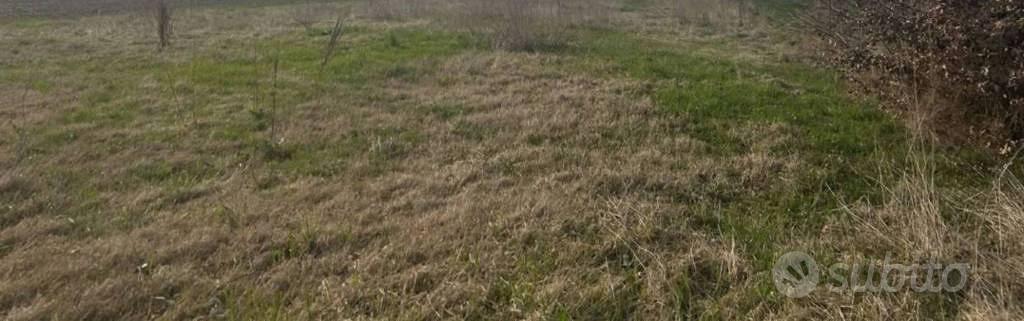 Immobile in asta di 10661 m² a San Possidonio - Vista 2