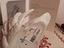 Immagine 4