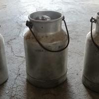 Contenitori latte alluminio 12L