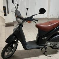 Piaggio free 50 catalized