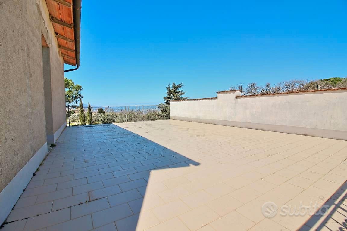 CASALE e Ulivi in Maremma - Vista 4