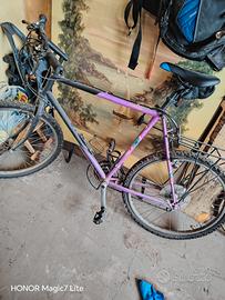 MTB olmo 