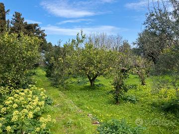 Carini Alta Belvedere