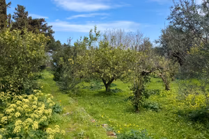 Carini Alta Belvedere