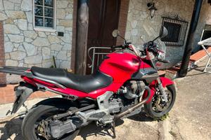 Moto Guzzi breva 1100