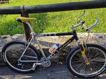 MTB Alpina 21 velocità forcella ammortizzata