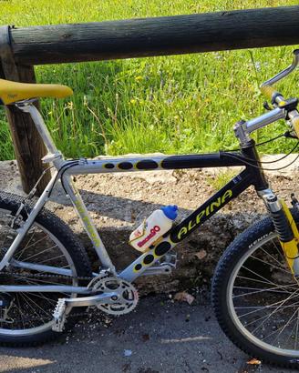 MTB Alpina 21 velocità forcella ammortizzata