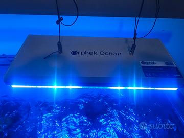 Orphek ocean
