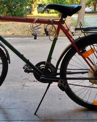 citybyke Bottecchia