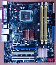 Scheda Madre Micro ATX - Asus P5KPL-AM
