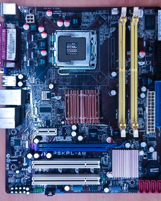 Scheda Madre Micro ATX - Asus P5KPL-AM