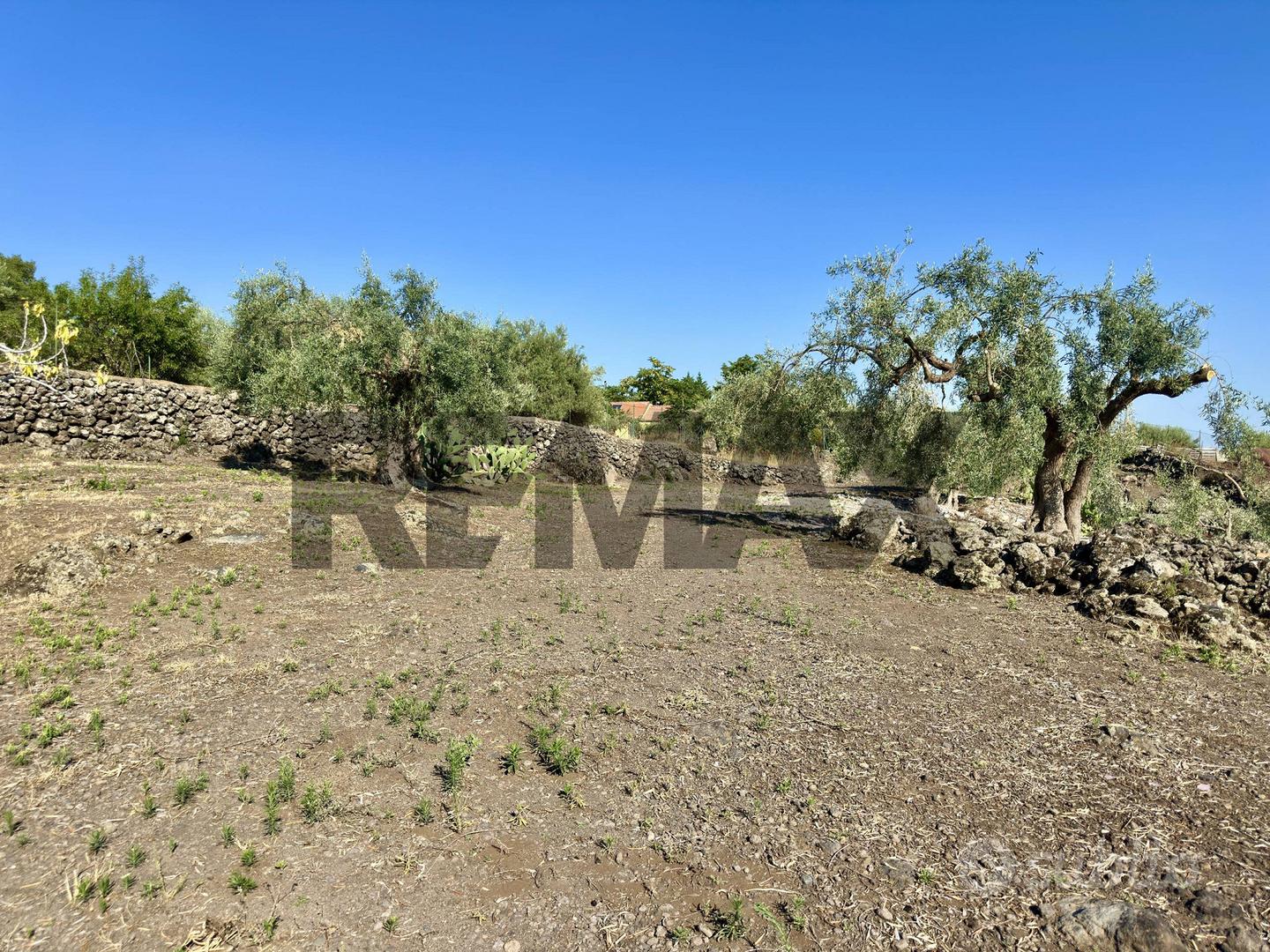 Terreno - Biancavilla - Altro