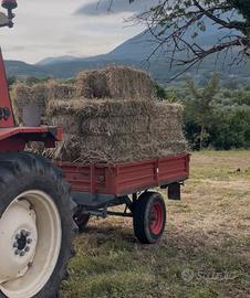 Ballette fieno erba medica