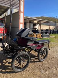 Carrozza marathon 6 posti più finimenti