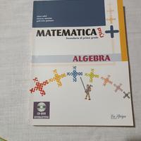Matematica più. Algebra. Per la Scuola media