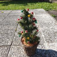 Alberello di Natale addobbato